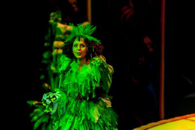 "Аленький цветочек"