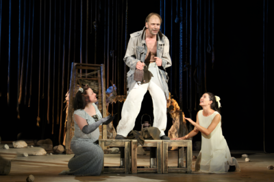 Козий остров