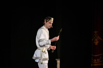 Царевна-лягушка